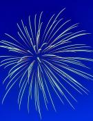 A Firework on a blue sky