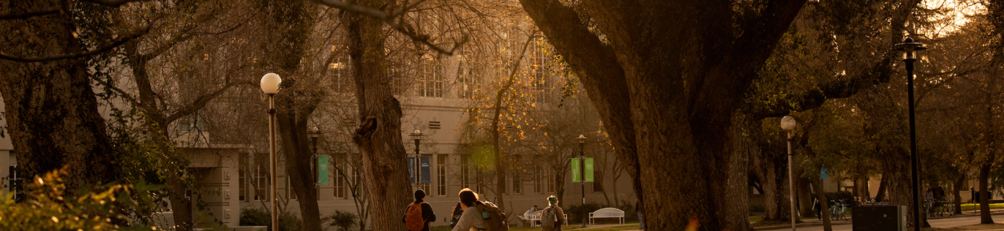 biking and walking on the quad