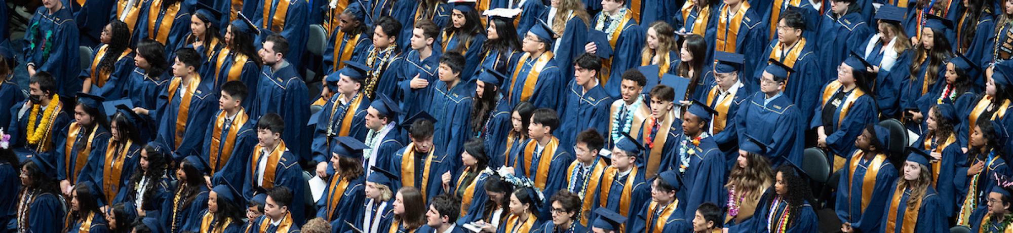 graduation crowd