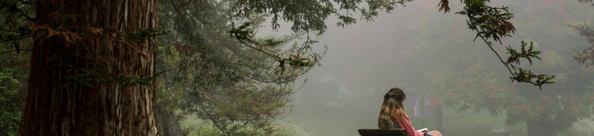 Foggy day at the arboretum with a student sitting on a bench